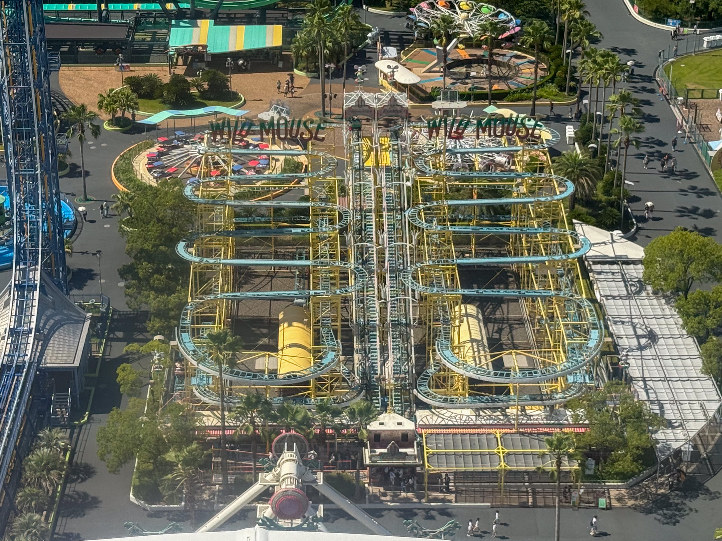 Photo of Wild Mouse (Right)