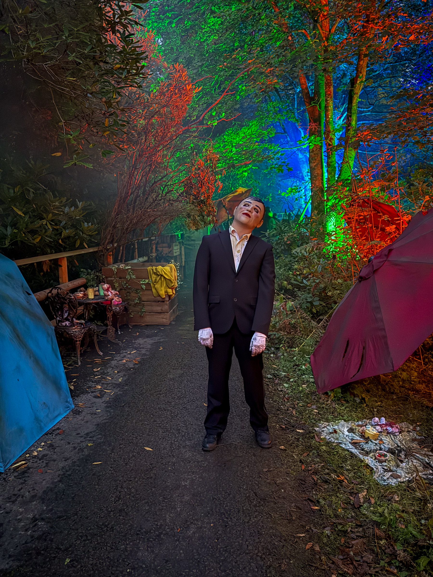 Photo of Dark Hollow