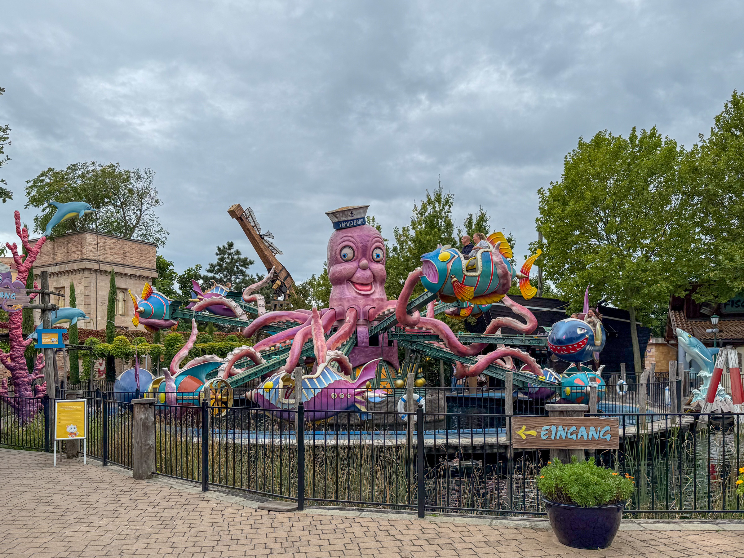 Photo of Fliegenden Fische