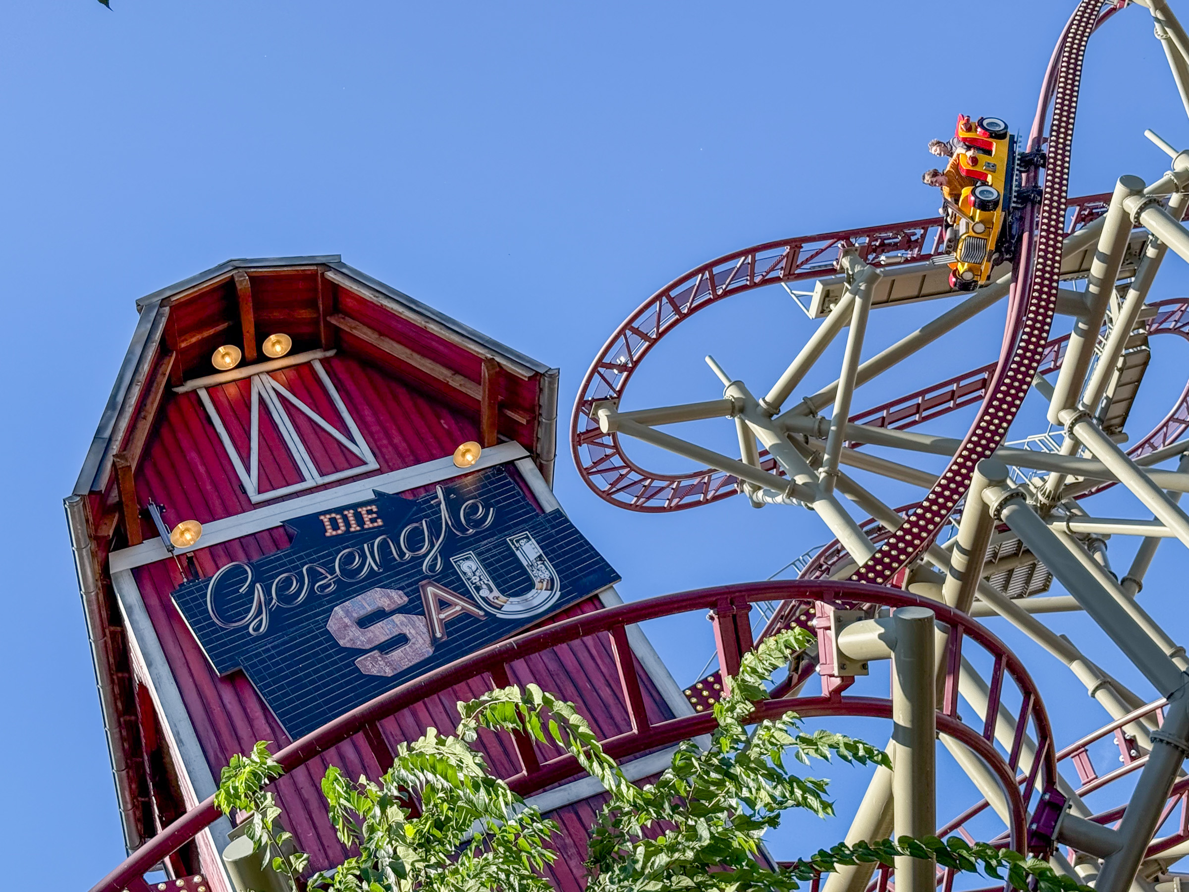 Photo of Gesengte Sau