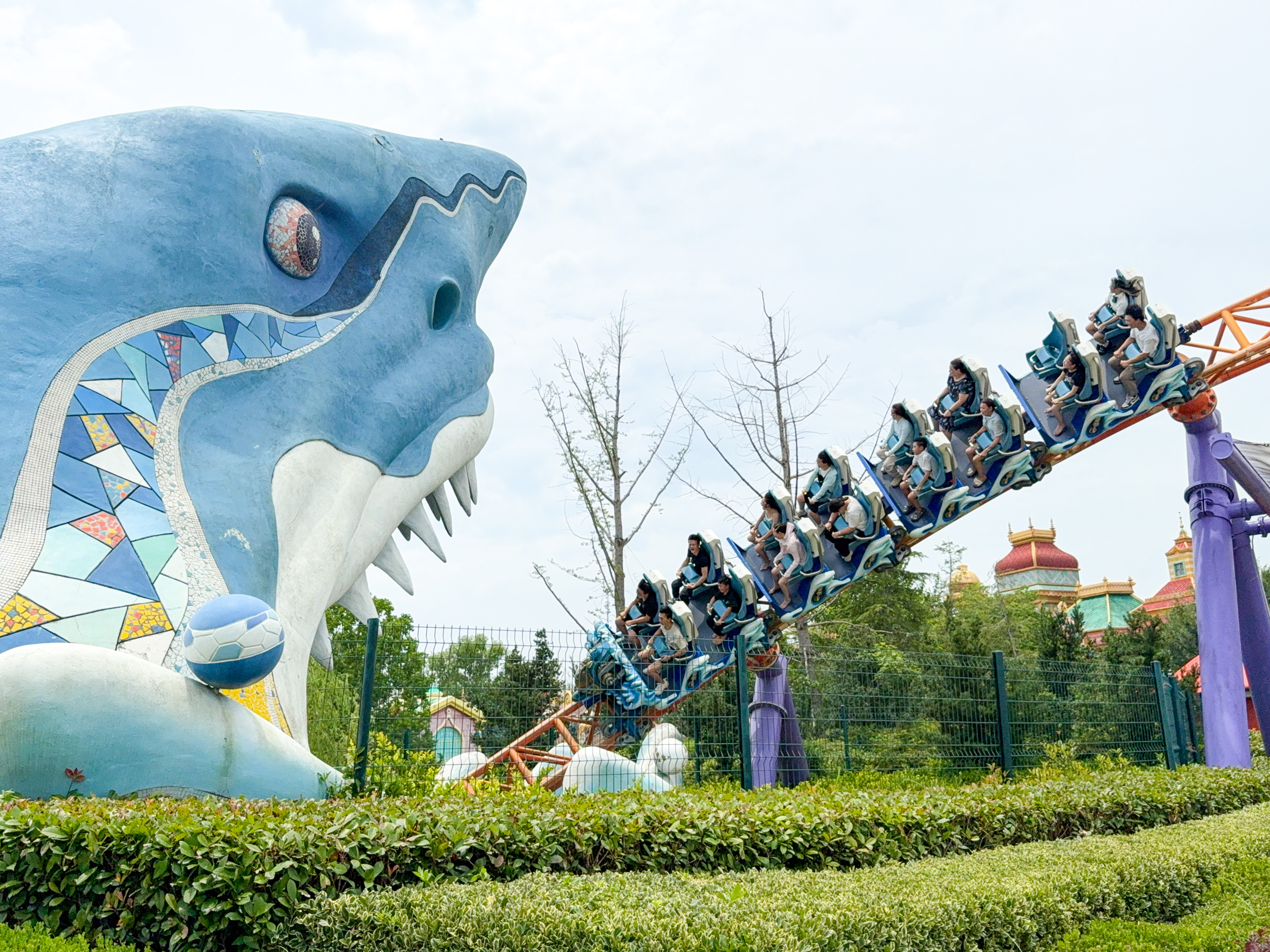 Photo of Steel Dolphin