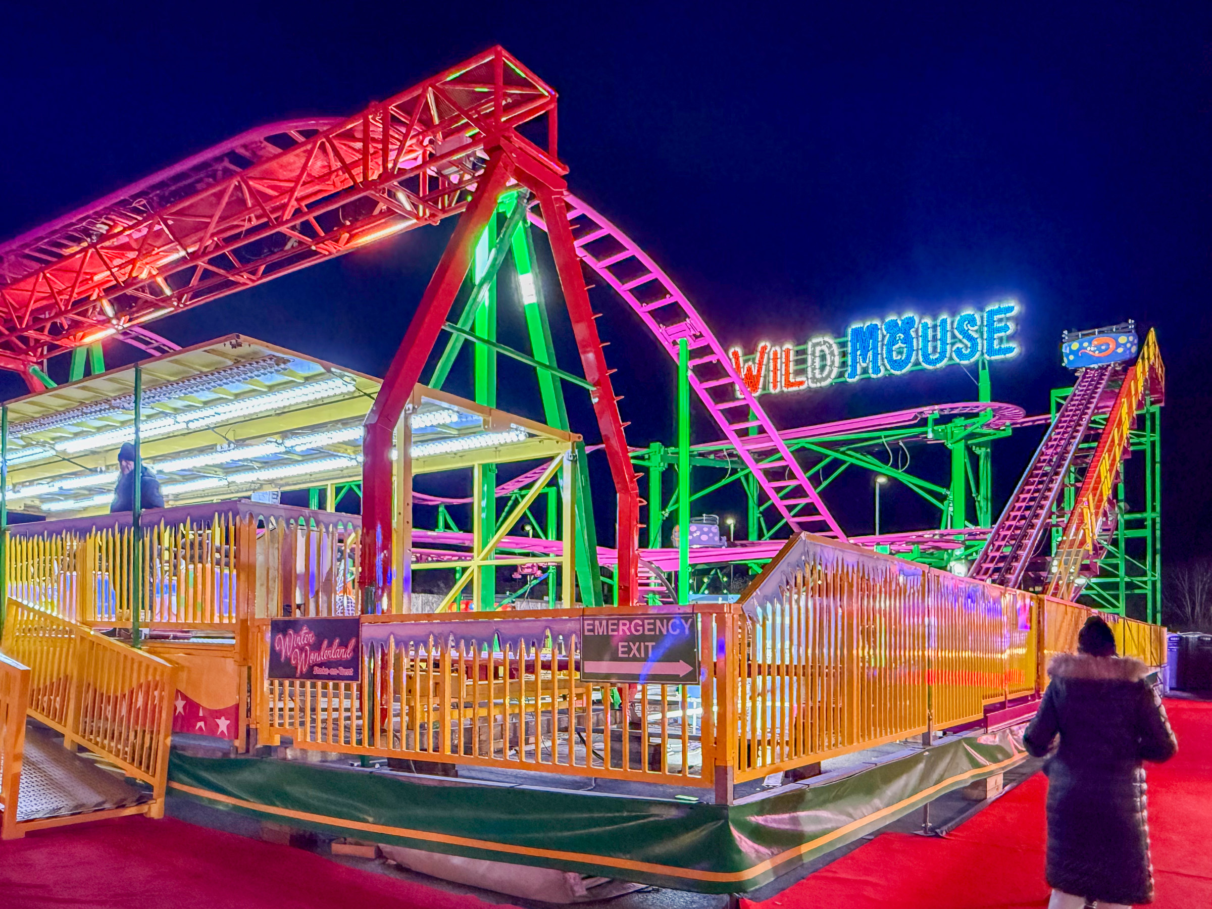 Photo of Wild Mouse