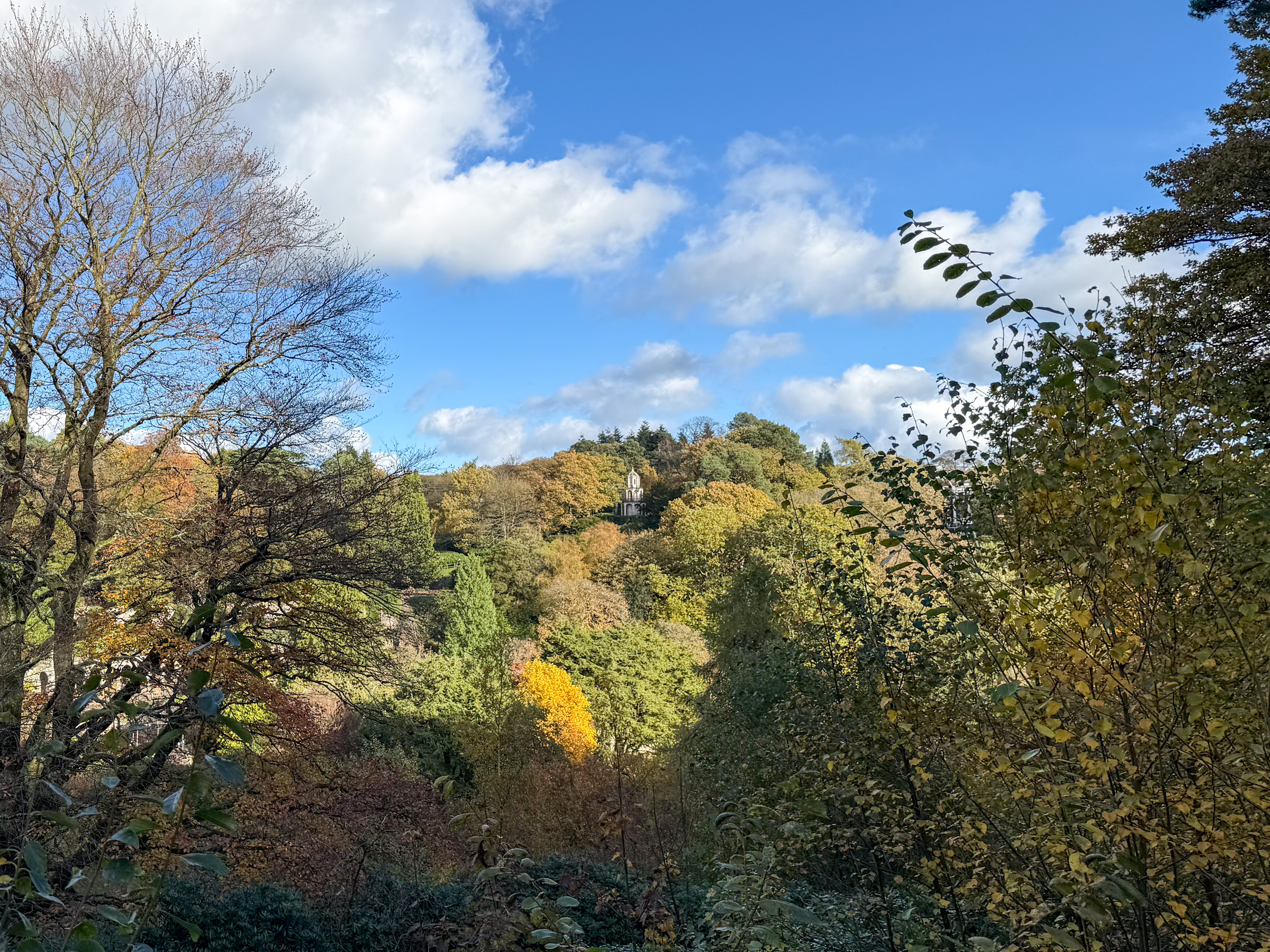 Primary photo for Alton Towers Scarefest (2nd Nov 2025)