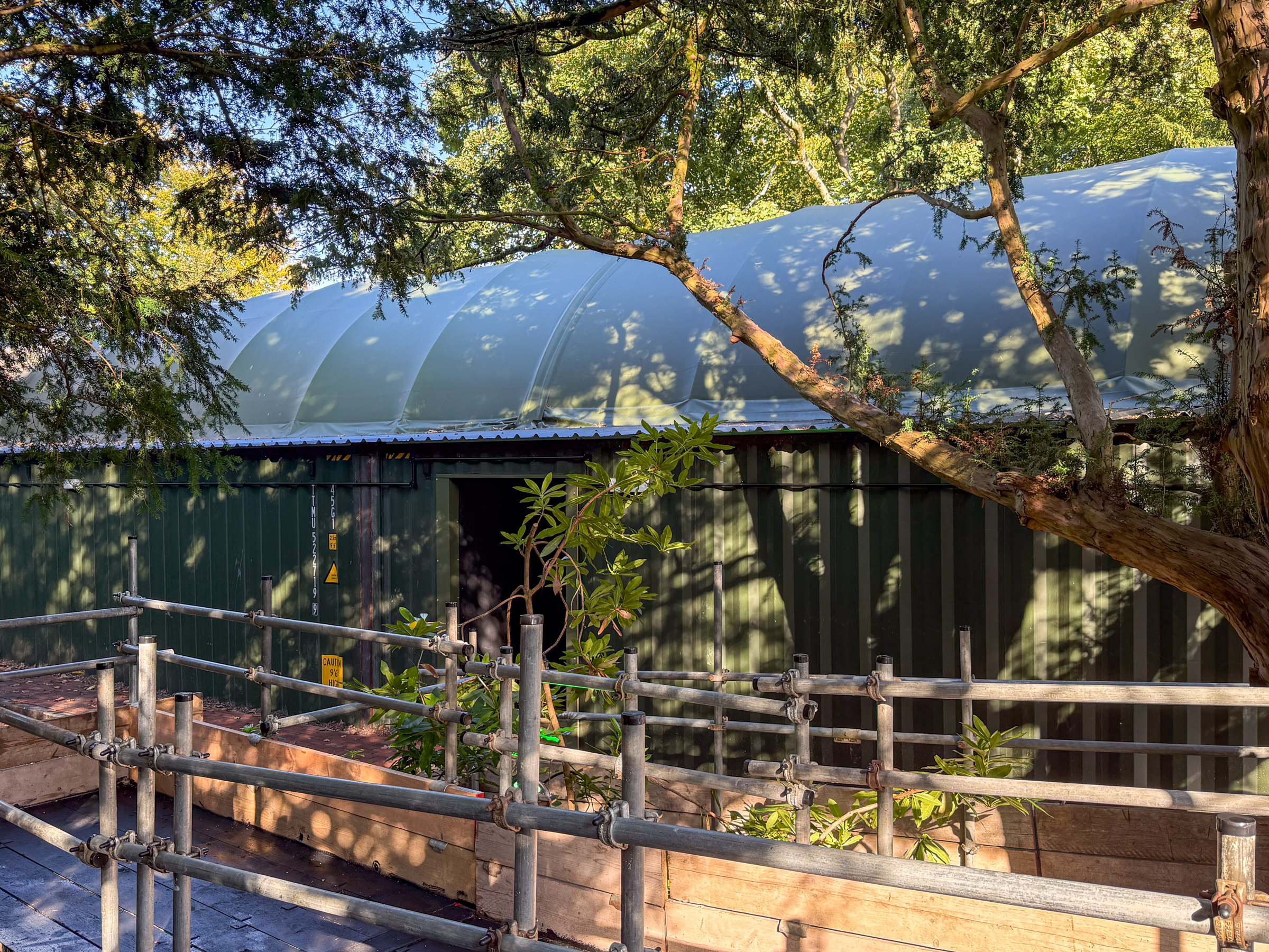 Photo of Edge of the Forest