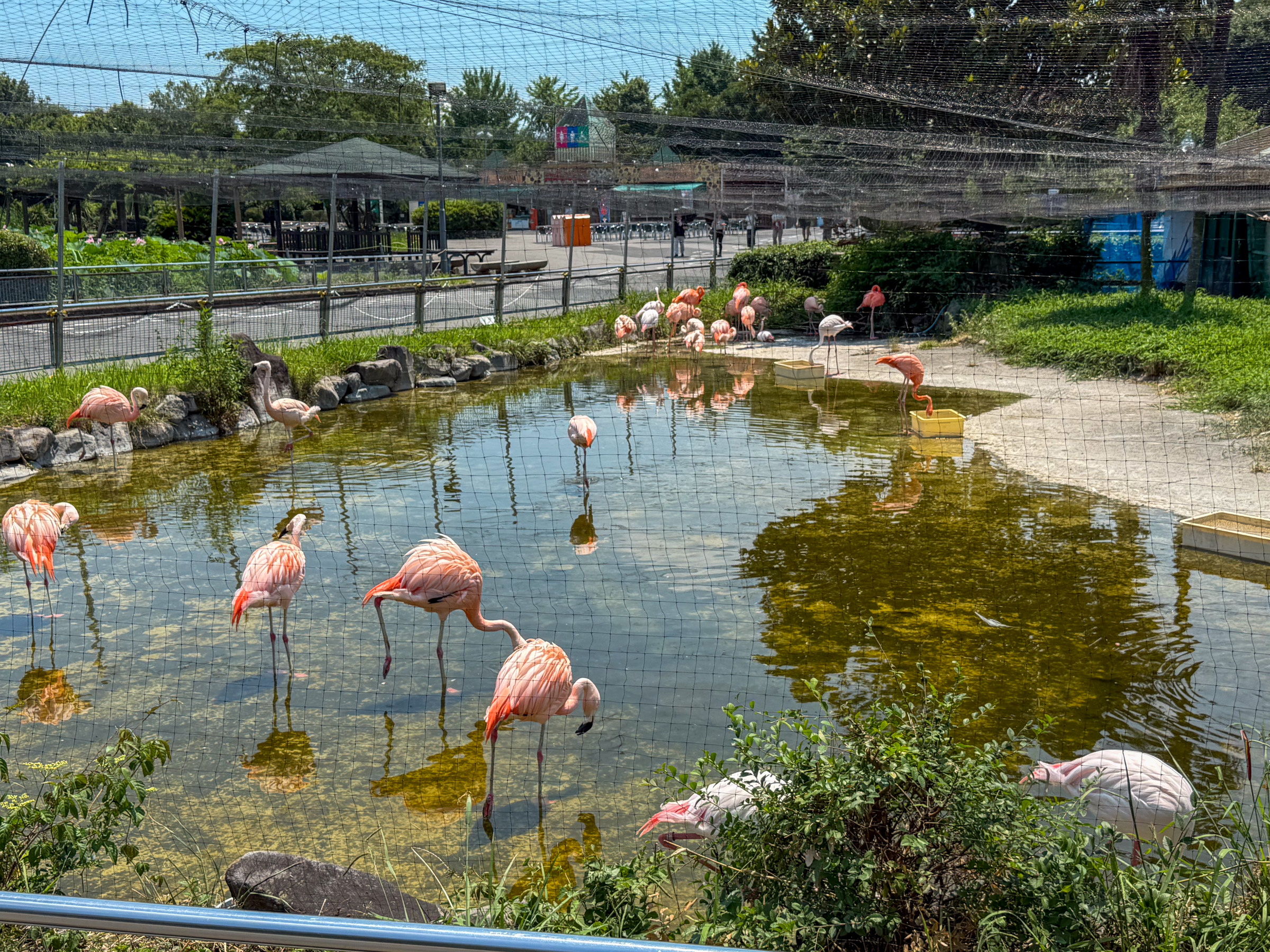 Primary photo 1 for 2025