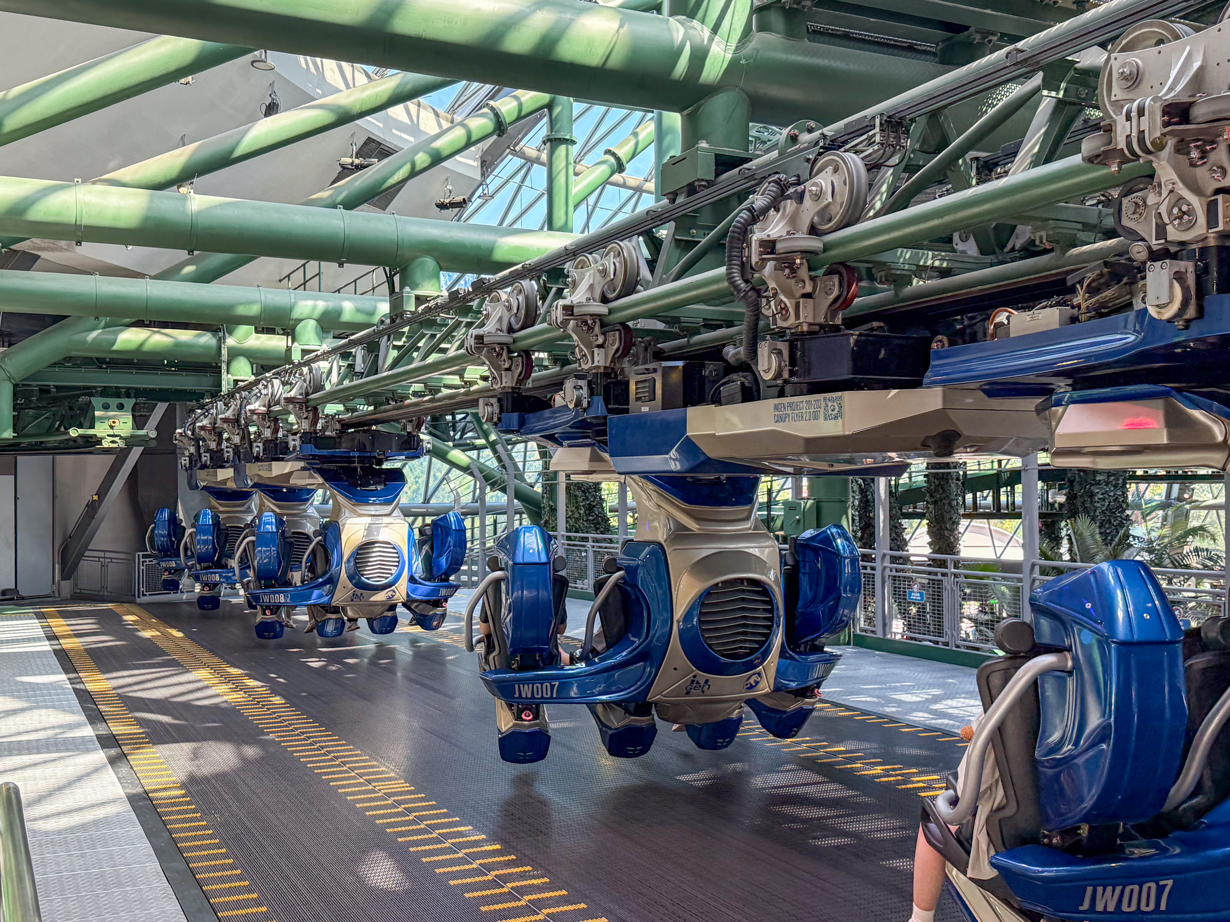 Photo of Jurassic Flyers