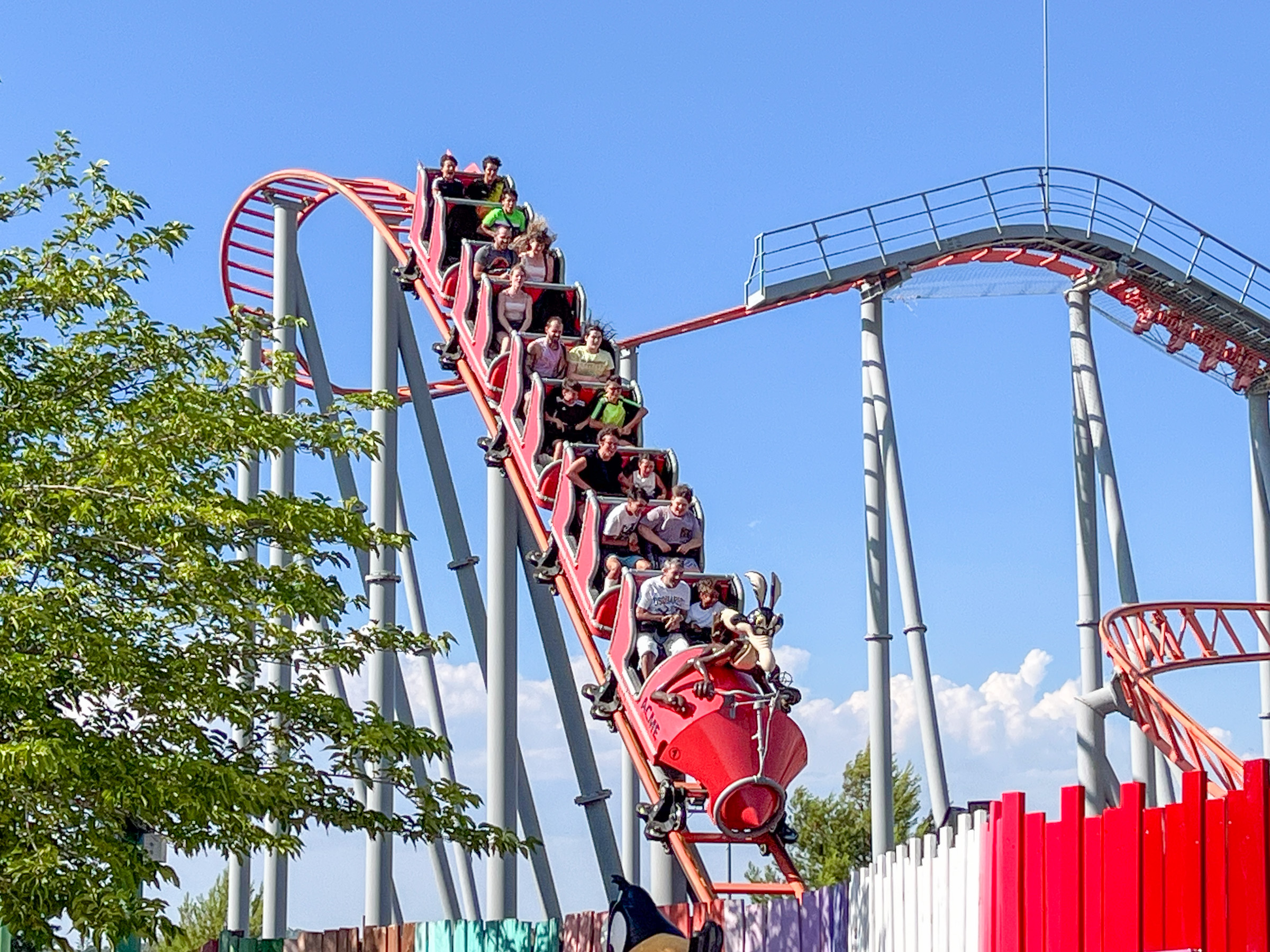 Photo of Correcaminos Bip Bip