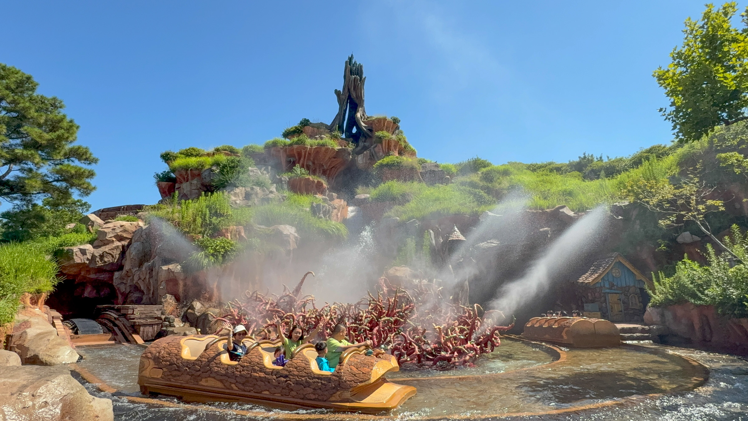 Photo of Splash Mountain